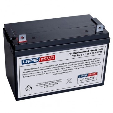 Energy Power 12V 100Ah EP-SLA12-100A Battery with NB Terminals