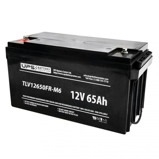 12V 65Ah Sealed Lead Acid AGM Battery with Insert Terminals - TLV12650FR-M6