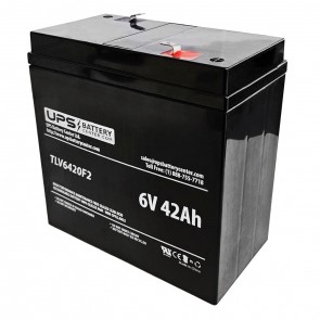 Dual Lite 6V 42Ah 12-518 Battery with F2 Terminals