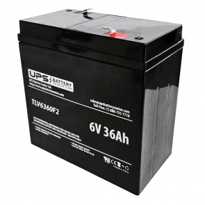 Embassy Crown 6V 36Ah 6CE36 Battery with F2 Terminals