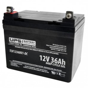 Baace CB36-12 12V 36Ah Battery with NB Terminals