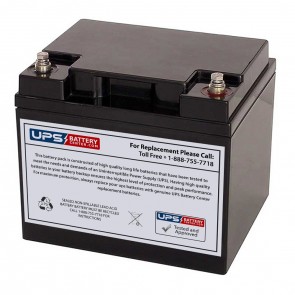 Hisel Power 12V 45Ah SP12-42 Replacement Battery with Insert Terminals
