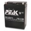 Peak Energy PK12V11B1 12V 11Ah Battery - PK12V11
